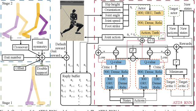 Figure 1 for Teach Biped Robots to Walk via Gait Principles and Reinforcement Learning with Adversarial Critics