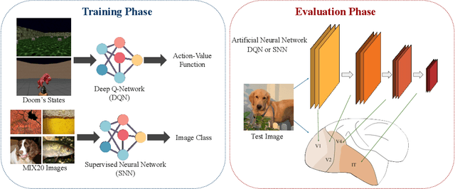 Figure 1 for Deep Reinforcement Learning Models Predict Visual Responses in the Brain: A Preliminary Result