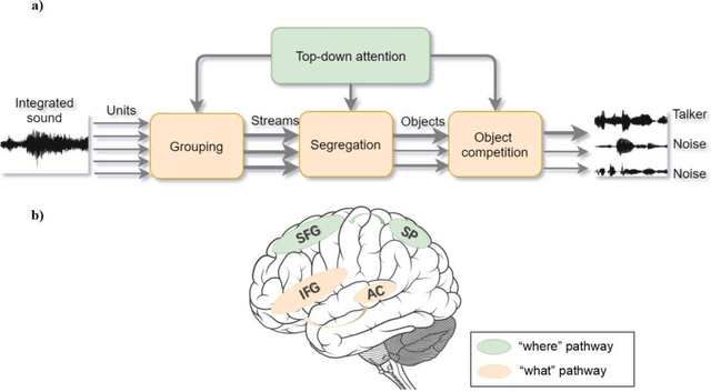 Figure 3 for What can computational models learn from human selective attention? A review from an audiovisual crossmodal perspective