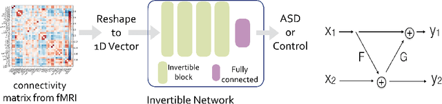 Figure 1 for Invertible Network for Classification and Biomarker Selection for ASD