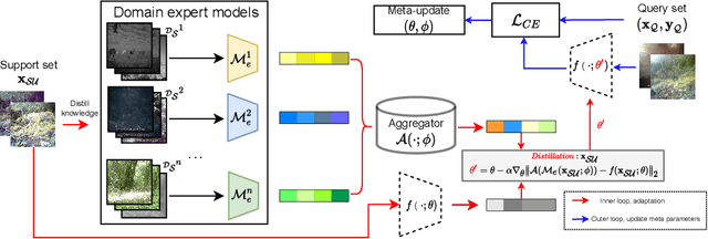 Figure 1 for Meta-DMoE: Adapting to Domain Shift by Meta-Distillation from Mixture-of-Experts