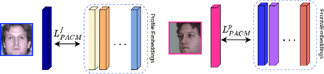 Figure 3 for Information Maximization for Extreme Pose Face Recognition