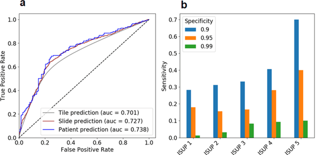 Figure 1 for Using deep learning to detect patients at risk for prostate cancer despite benign biopsies