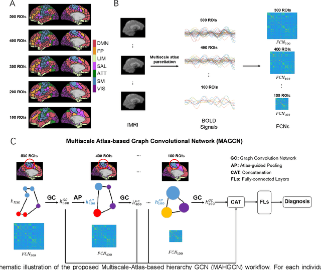 Figure 1 for Hierarchical Graph Convolutional Network Built by Multiscale Atlases for Brain Disorder Diagnosis Using Functional Connectivity
