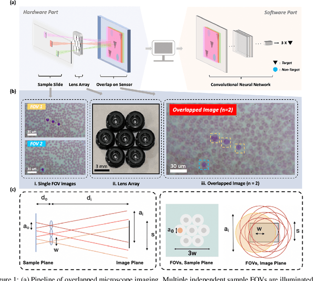 Figure 1 for Increasing a microscope's effective field of view via overlapped imaging and machine learning