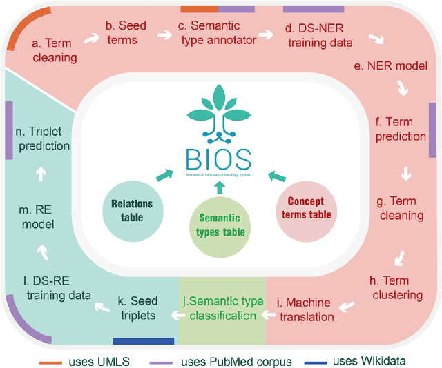 Figure 1 for BIOS: An Algorithmically Generated Biomedical Knowledge Graph