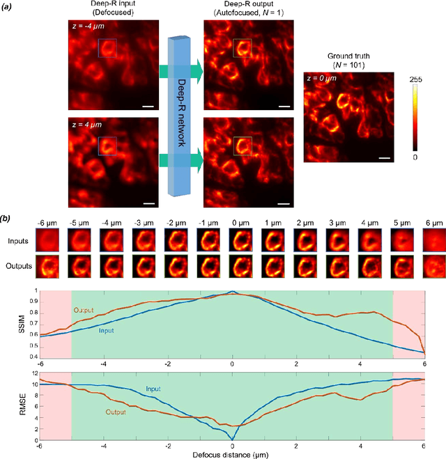 Figure 2 for Single-shot autofocusing of microscopy images using deep learning