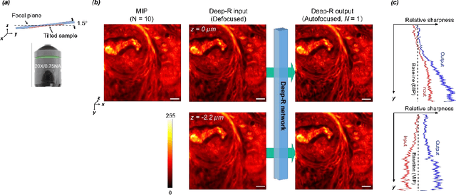 Figure 4 for Single-shot autofocusing of microscopy images using deep learning