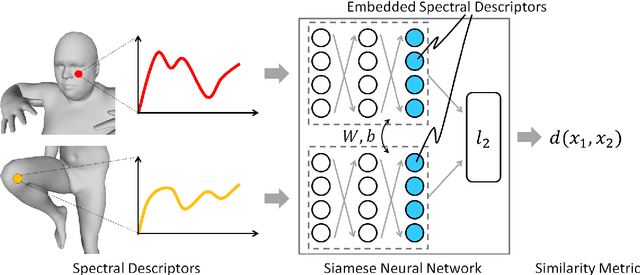 Figure 3 for Deep Spectral Descriptors: Learning the point-wise correspondence metric via Siamese deep neural networks