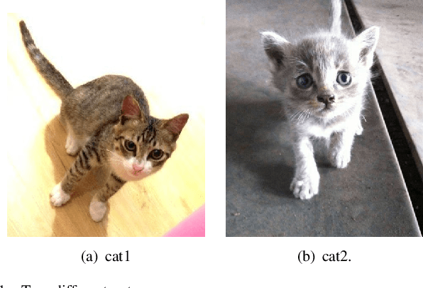 Figure 1 for A simple and effective postprocessing method for image classification