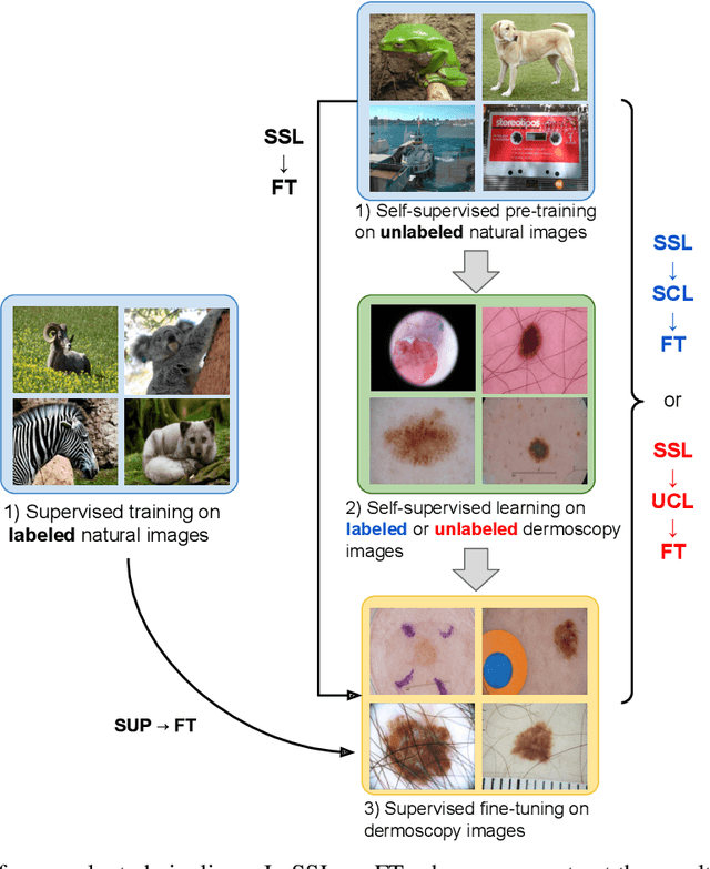 Figure 2 for An Evaluation of Self-Supervised Pre-Training for Skin-Lesion Analysis