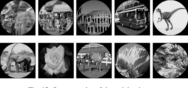 Figure 4 for A Survey of Orthogonal Moments for Image Representation: Theory, Implementation, and Evaluation