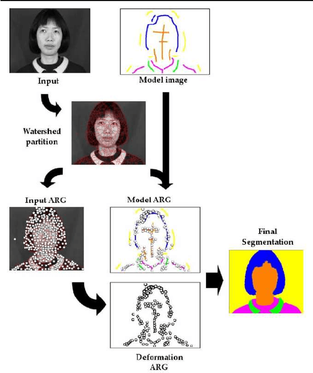 Figure 3 for A New Algorithm for Interactive Structural Image Segmentation