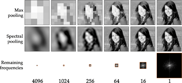 Figure 2 for Spectral Representations for Convolutional Neural Networks