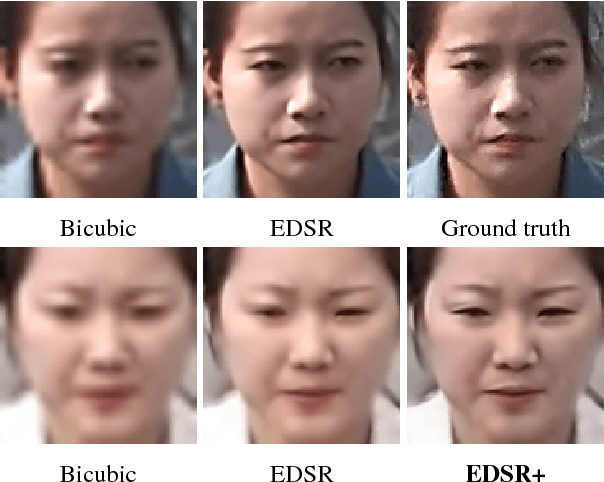 Figure 1 for Deep Learning with Inaccurate Training Data for Image Restoration