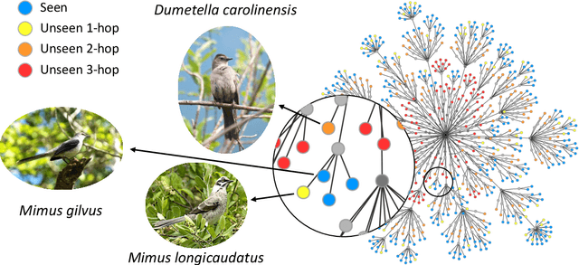 Figure 3 for Zero-Shot Bird Species Recognition by Learning from Field Guides