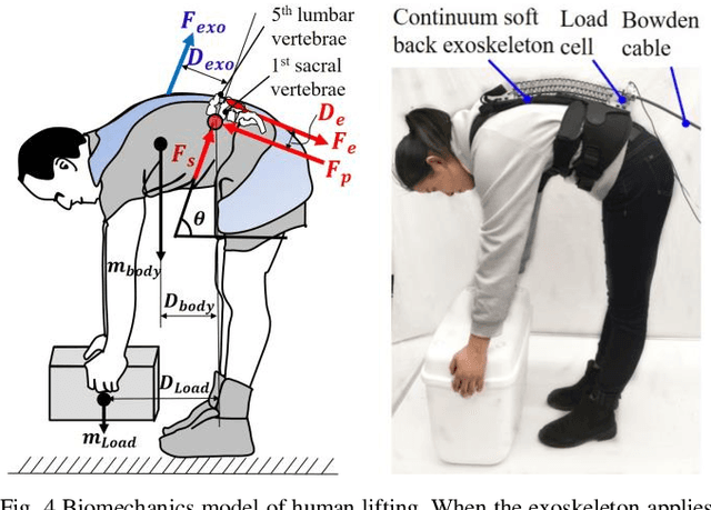 Figure 4 for Spine-Inspired Continuum Soft Exoskeleton for Stoop Lifting Assistance