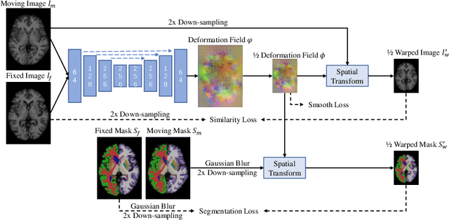 Figure 1 for Deformable Registration of Brain MR Images via a Hybrid Loss