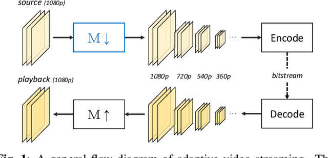 Figure 1 for Convolutional Block Design for Learned Fractional Downsampling