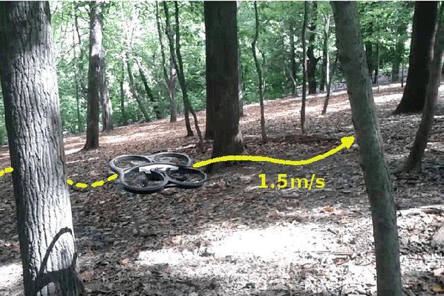 Figure 1 for Learning Monocular Reactive UAV Control in Cluttered Natural Environments