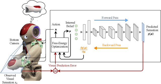 Figure 1 for End-to-End Pixel-Based Deep Active Inference for Body Perception and Action
