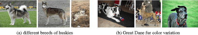 Figure 1 for Fine-grained Categorization -- Short Summary of our Entry for the ImageNet Challenge 2012