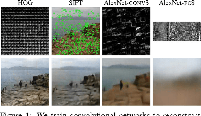 Figure 1 for Inverting Visual Representations with Convolutional Networks