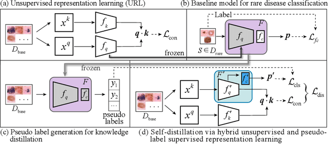 Figure 1 for Unsupervised Representation Learning Meets Pseudo-Label Supervised Self-Distillation: A New Approach to Rare Disease Classification