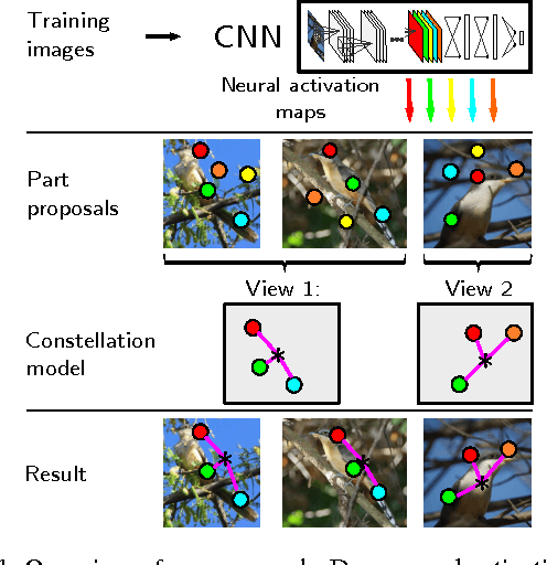 Figure 1 for Neural Activation Constellations: Unsupervised Part Model Discovery with Convolutional Networks