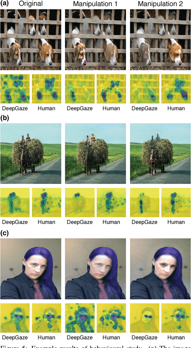 Figure 4 for Guiding human gaze with convolutional neural networks