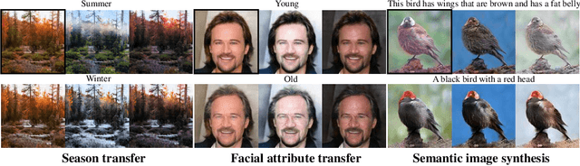 Figure 1 for Multi-mapping Image-to-Image Translation via Learning Disentanglement