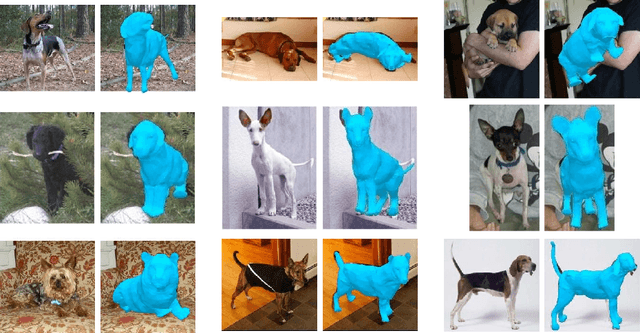 Figure 1 for Who Left the Dogs Out? 3D Animal Reconstruction with Expectation Maximization in the Loop