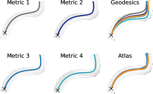 Figure 4 for Integrated Construction of Multimodal Atlases with Structural Connectomes in the Space of Riemannian Metrics