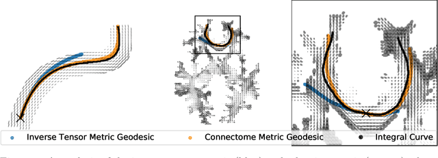 Figure 1 for Integrated Construction of Multimodal Atlases with Structural Connectomes in the Space of Riemannian Metrics