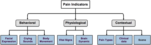 Figure 1 for Machine-based Multimodal Pain Assessment Tool for Infants: A Review