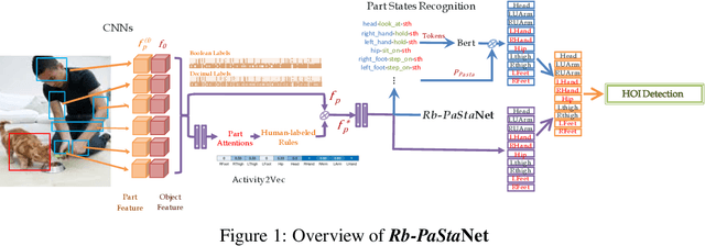 Figure 1 for Rb-PaStaNet: A Few-Shot Human-Object Interaction Detection Based on Rules and Part States