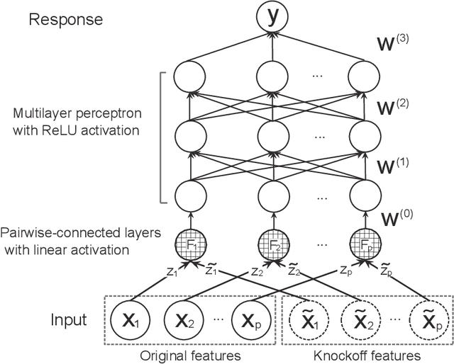 Figure 1 for DeepPINK: reproducible feature selection in deep neural networks