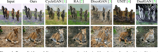 Figure 1 for Unsupervised Attention-guided Image to Image Translation