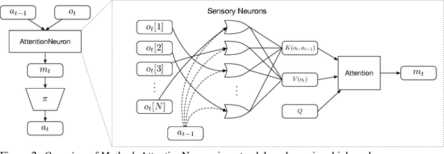 Figure 3 for The Sensory Neuron as a Transformer: Permutation-Invariant Neural Networks for Reinforcement Learning