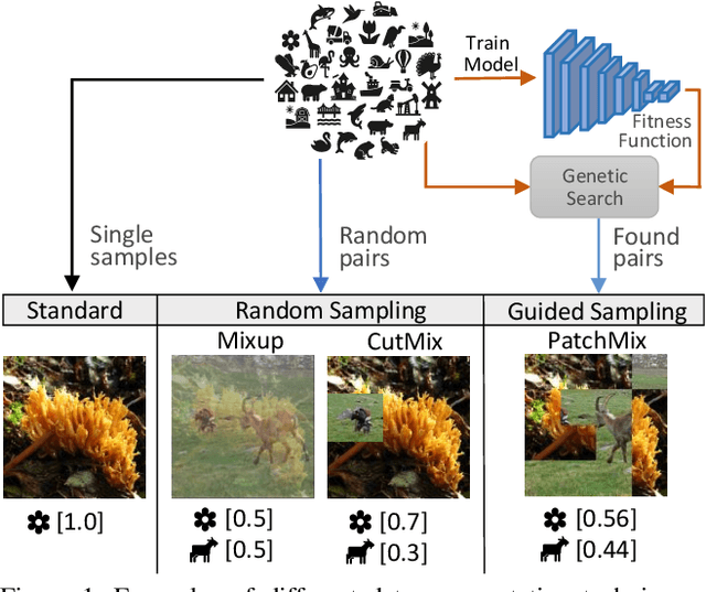 Figure 1 for Evolving Image Compositions for Feature Representation Learning