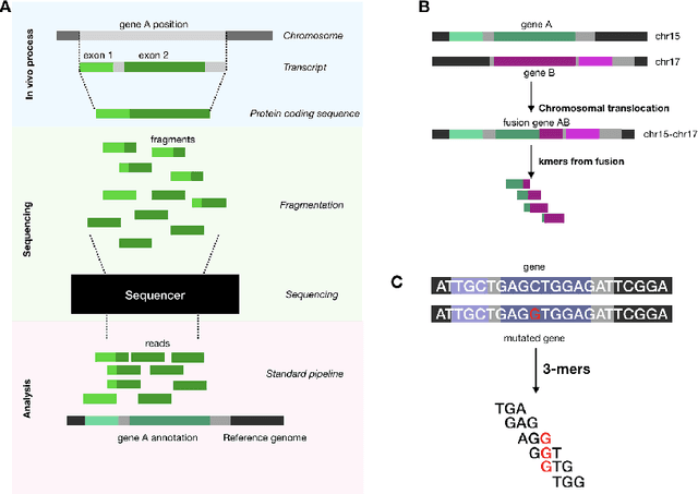 Figure 1 for Towards the Latent Transcriptome