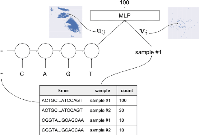 Figure 3 for Towards the Latent Transcriptome