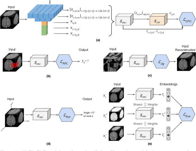 Figure 1 for 3D Self-Supervised Methods for Medical Imaging