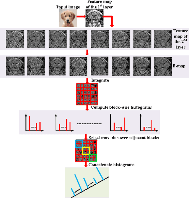 Figure 2 for CUNet: A Compact Unsupervised Network for Image Classification