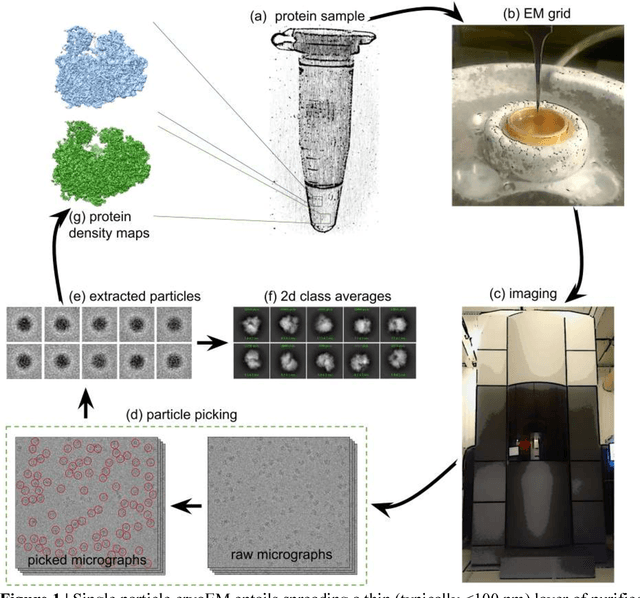 Figure 2 for Positive-unlabeled convolutional neural networks for particle picking in cryo-electron micrographs