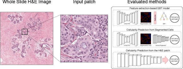 Figure 1 for Breast Tumor Cellularity Assessment using Deep Neural Networks