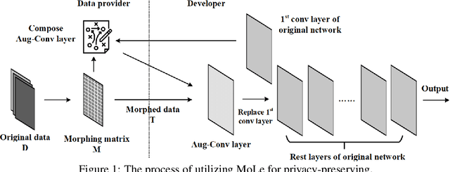 Figure 1 for Morphed Learning: Towards Privacy-Preserving for Deep Learning Based Applications