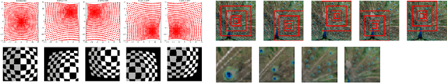 Figure 1 for Biologically Inspired Mechanisms for Adversarial Robustness