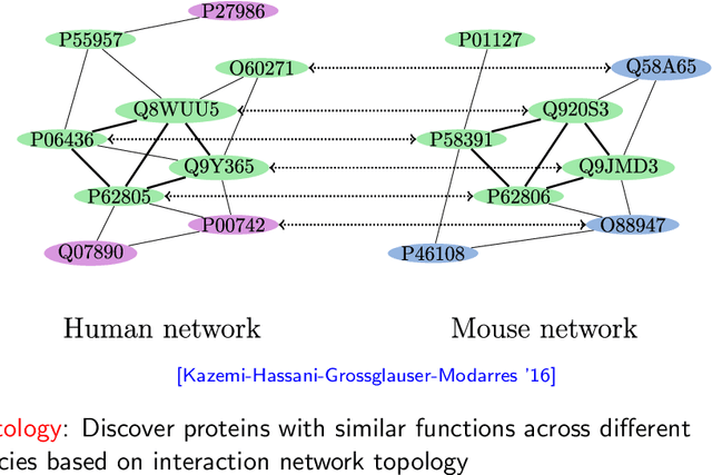 Figure 1 for Efficient random graph matching via degree profiles