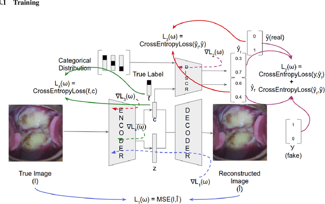 Figure 4 for Identification of Cervical Pathology using Adversarial Neural Networks